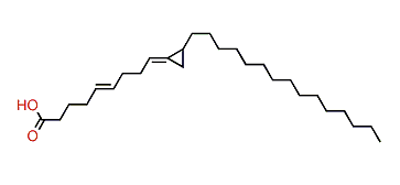 Amphimic acid C